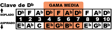 gama media